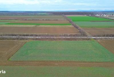 Teren de 6600 mp, în Botizului - 4