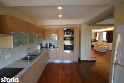 Apartament cu 6 camere în Herăstrău - 20
