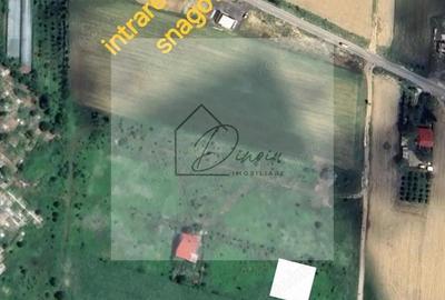 Teren de 980 mp, în Siliștea Snagovului - 2