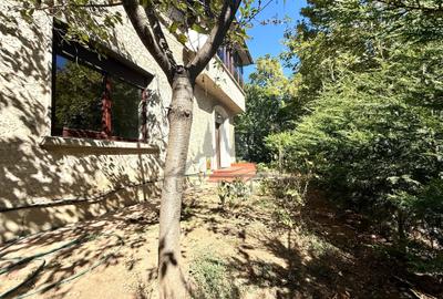 Vila de vanzare in cartierul Primaverii ideala pentru investitie Vila de vanzare in cartierul Primaverii ideala pentru investitie - 25