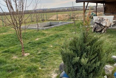 Casă cu 3 camere cu Teren 800 Mp în Coltău - 5