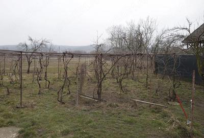 Casă cu 3 camere cu Teren 813 Mp în Grădiștea - 5