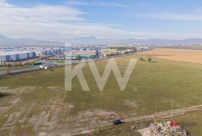 Vanzare teren 5337 mp Bartolomeu zona CATTIA - 13