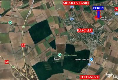 Teren de 10000 mp, în Dascălu - 1