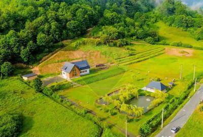 Casă cu 7 camere cu Teren 6370 Mp în Groși - 8