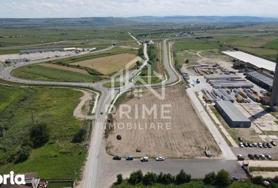 Teren de 10126 mp, în Teiu - 4