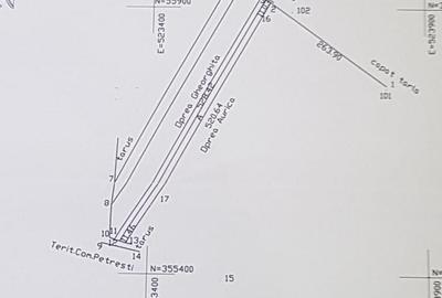 Gaiesti Dambovita   Suprafata Compacta  6 Hectare(8 eur/mp) Teren Extravilan - 2