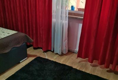 Apartament cu 3 camere decomandat în Frumoasa - 7