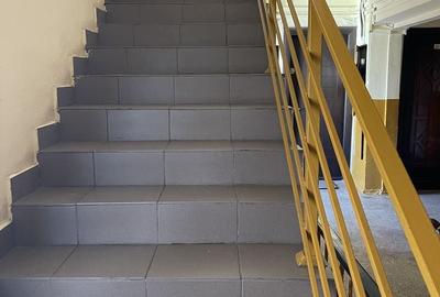 Locuinta luminoasa la mansarda-constructie 2013 - 17