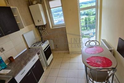 Garsonieră decomandată în Baciu - 13