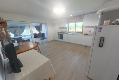 Casa  moderna mobilata cu beci 165mp +3000mp teren Cotnari - 12