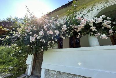 Casă cu 3 camere în Câmpulung Muscel - 1
