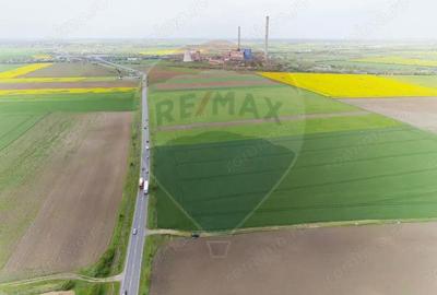 Teren de 30000 mp, în Grădiște - 3