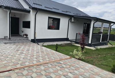 Casă cu 4 camere în Vișan - 8