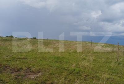 Teren extravilan 1249 mp in Copaceni! Oportunitate investitie! - 3
