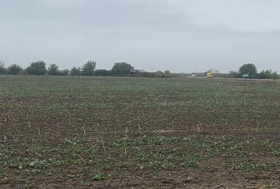 Teren Construcții intravilan de 22509 mp, în Tunari - 3