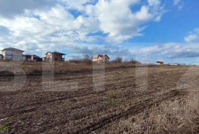 Teren de 4250 mp, în Miroslava