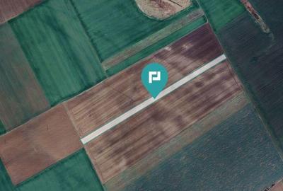 Teren 30.000 mp la drum asfaltat Peciu Nou - 1