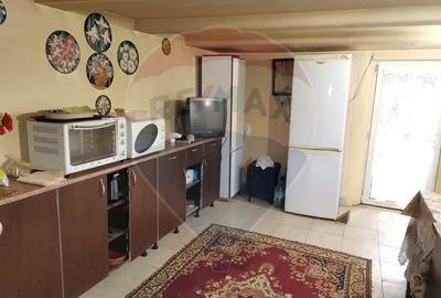 Casa traditionala De Vanzare cu 5 Hectare de teren - 4