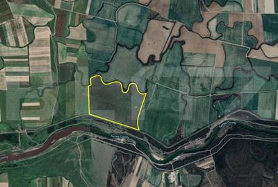 Teren de 500000 mp, în Bazoș - 1