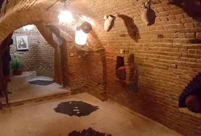 Inchiriez spatiu comercial cu terasa si crama - 7