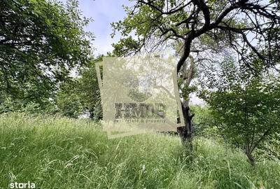 Spațiu comercial, în Șura Mare