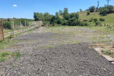 Teren de 3100 mp, în Moldovenești - 1