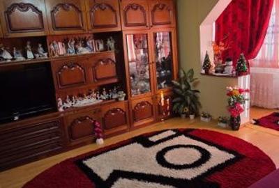 Apartament cu 3 camere decomandat în Banat - 6