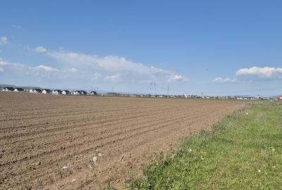 Teren Construcții intravilan de 500 mp, în Sânpetru - 7