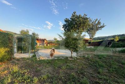 Casa de vanzare, cu 3 camere, 87 mp, zona Bejan - 12