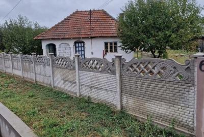 Casă cu 3 camere în Nicolae Bălcescu - 5