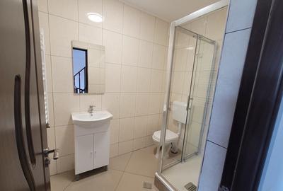 Casa individuala, ideala sediu firma Rahova- Teius - 2