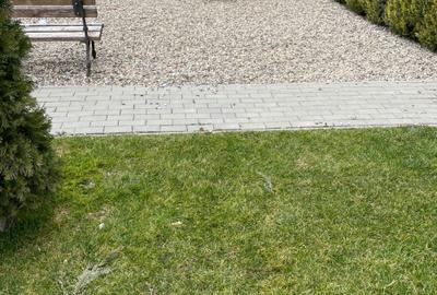 Apartament cu 3 camere decomandat în Torontalului - 1