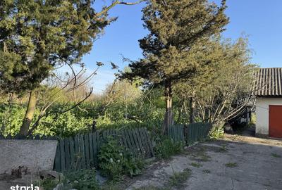 Casă cu 4 camere cu Teren 4000 Mp în Mereni - 4