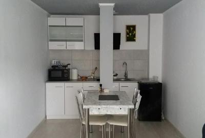 Apartament cu 2 camere nedecomandat în Poiana Țapului - 5