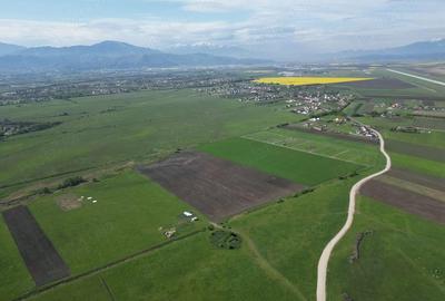 Teren de 8600 mp, în Stupini - 3