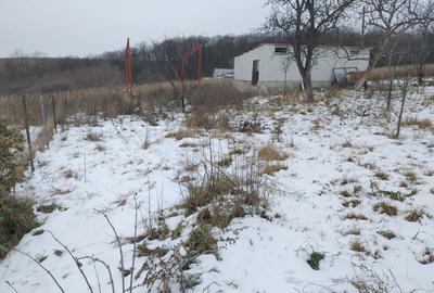 Hala pe Structura Metalica+ Casa batraneasca + 4800 m2 - 8