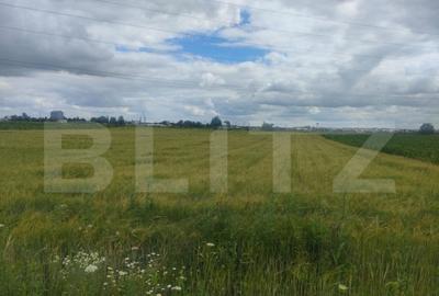 Teren de 6600 mp, în Rădăuți - 3