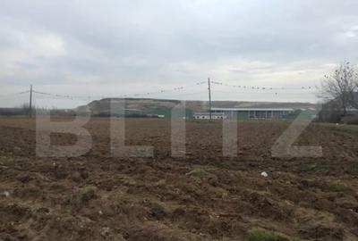 Teren de 13000 mp, în Mofleni