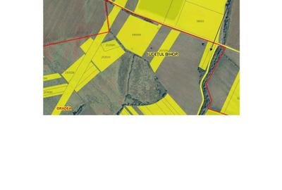 Spațiu comercial, în Episcopia Bihorului - 4