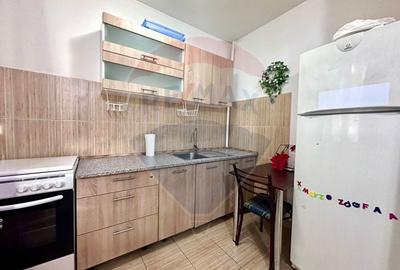 Apartament cu 2 camere de vanzare Domenii - 6