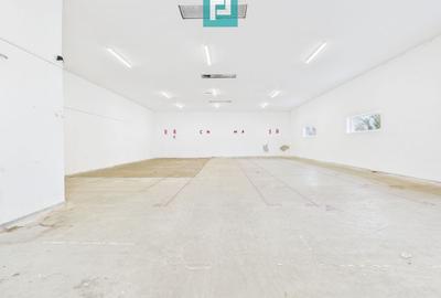 Spațiu industrial de 245 mp - 6