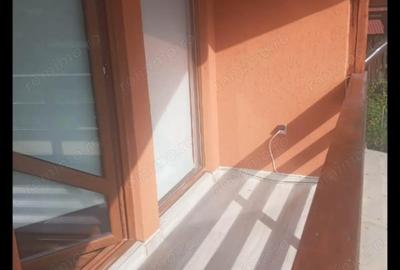 Casă cu 2 camere cu Teren 500 Mp în Rusu Bârgăului - 2