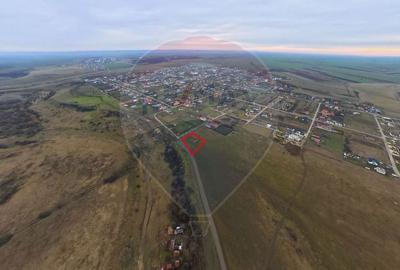 Teren Construcții intravilan de 2651 mp, în Frumușeni - 9