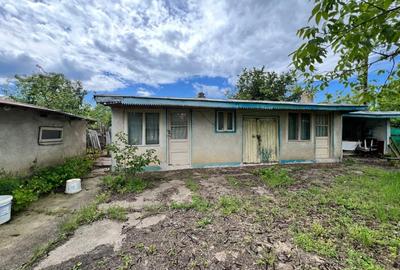 Casa + teren 4430 mp, vie si pomi fructiferi, 22 km de Tecuci - 36