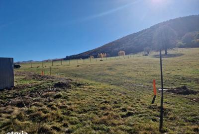 Teren de 3050 mp, în Orlat - 1