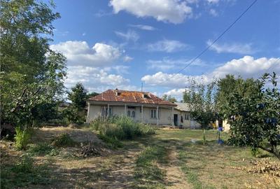 Casa cu teren intravilan in Suraia ,situata in zona centrala - 6