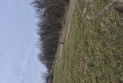 Teren de 1400 mp, în Central - 4