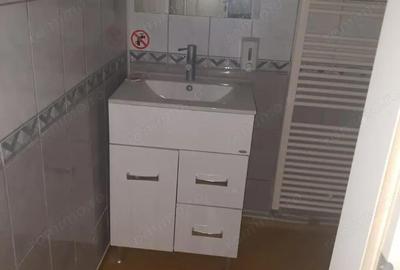 Ofer la inchiriere SAD zona centrala Balcescu-Rusu Sireanu, P+1+M, 200 mp utili, 10 camere + 4 bai - 17