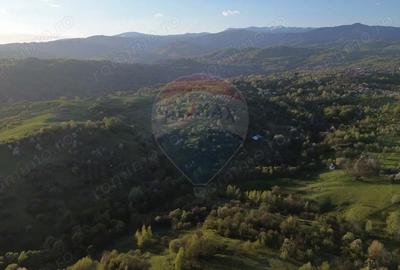 Teren de 15459 mp, în Bughea de Sus - 8